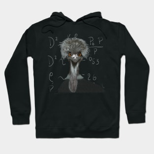 Funny Emu | Einstein | Humorous Gift Hoodie